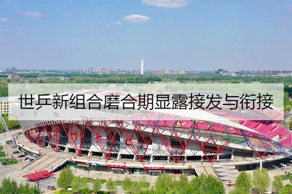 世乒新组合磨合期显露接发与衔接